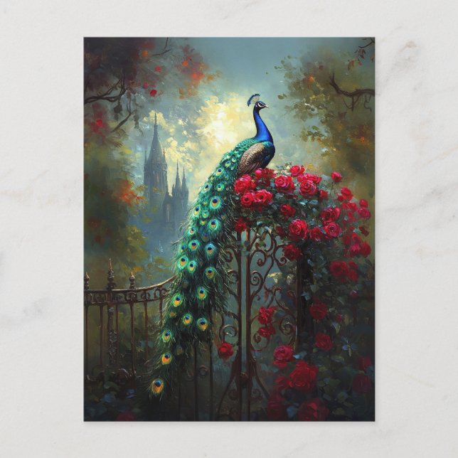 Dramatic Peacock Red Roses Gothic Postcard (Front)