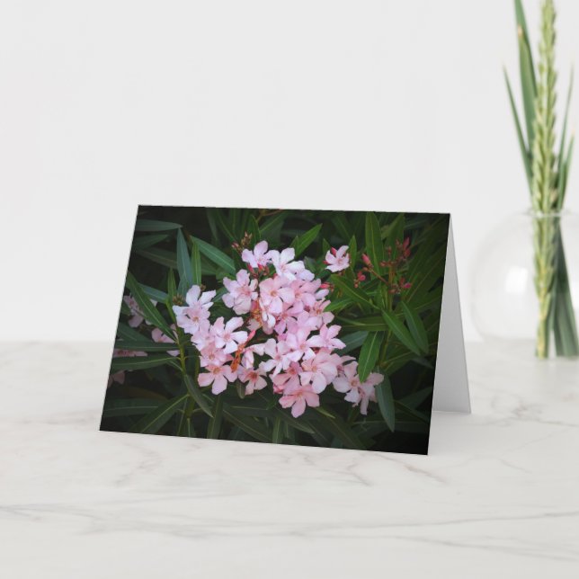 Dramatic Pink Flowers Photographic Art Note Card (Front)