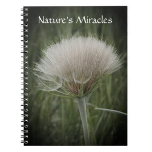 Dramatic Puff Spiral Photo Notebook