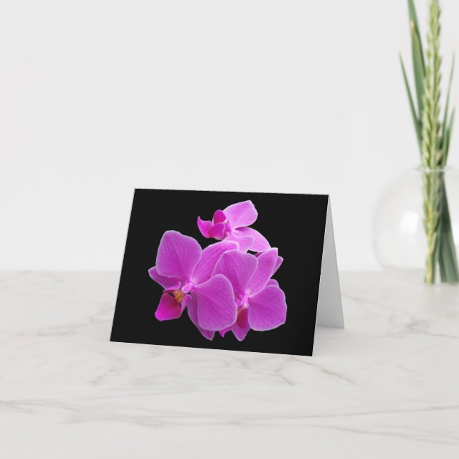 Dramatic Purple orchids on a black folded card (Front)