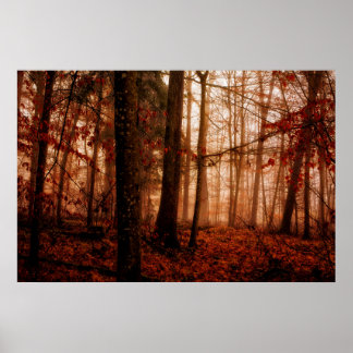 Dramatic red foggy winter snowless forest poster