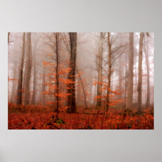 Dramatic red foggy winter snowless forest poster