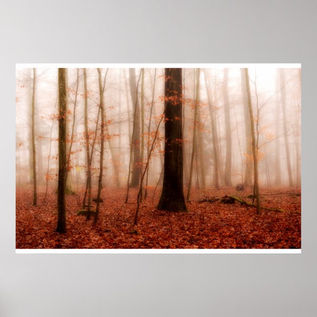 Dramatic red foggy winter snowless forest poster (Front)