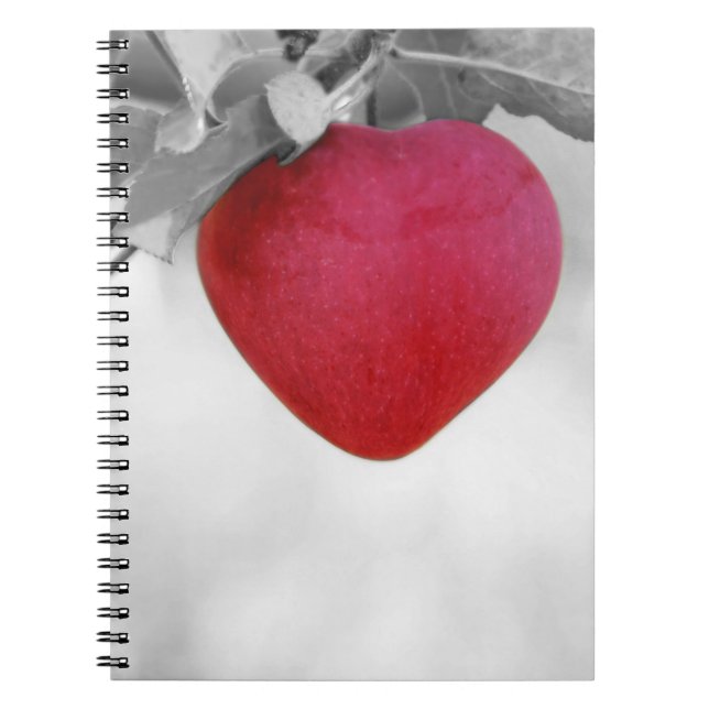 Dramatic Red Heart Shaped Apple Notebook (Front)