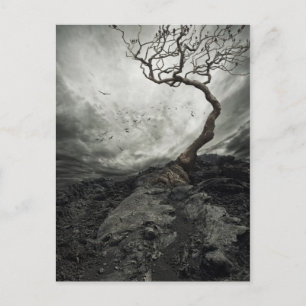 Dramatic sky over old lonely tree postcard