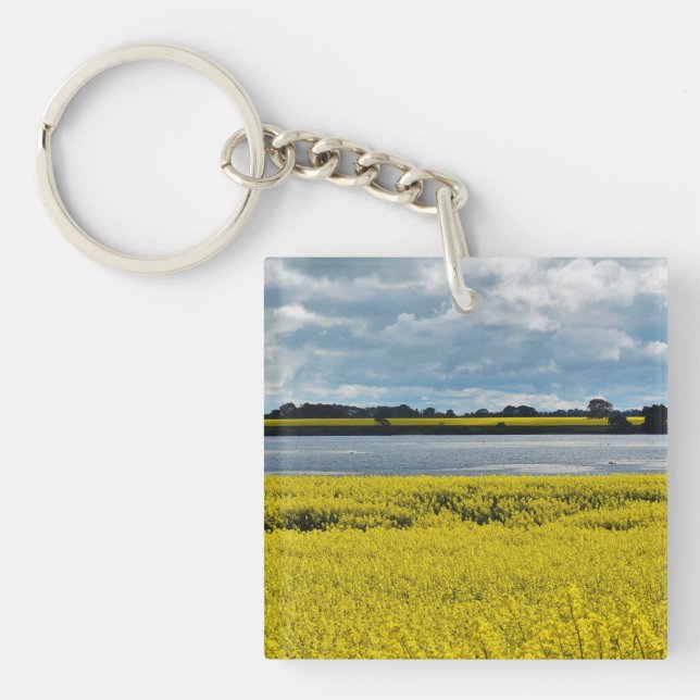 Dramatic Streatham Beauty Key Ring (Front)