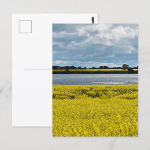 Dramatic Streatham Beauty Postcard