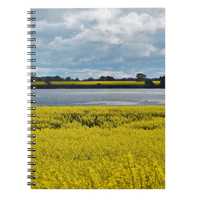 Dramatic Streatham Beauty Spiral Notebook (Front)
