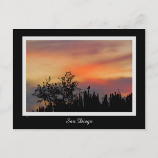 Dramatic Sunset Bird San Diego Pink Orange Postcard