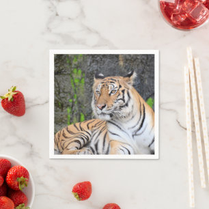 Dramatic Tiger Resting Portrait Napkin