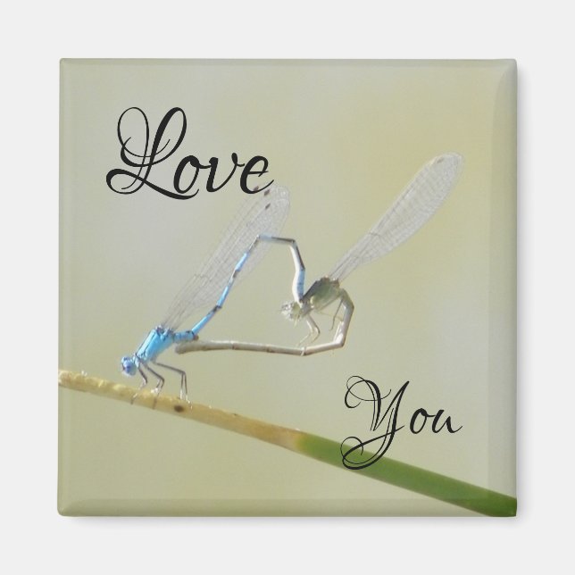 Drangonflies in love magnet (Front)