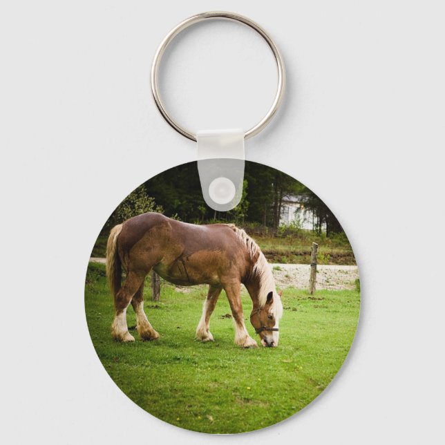 Draught Grazing After Bath Key Ring (Front)