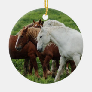 Draught   Horse Ceramic Ornament