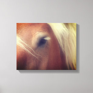 Draught Horse Eye Wisdom Canvas Print
