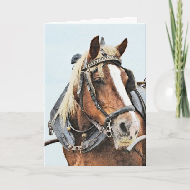 Draught horse in harness birthday card (Front)