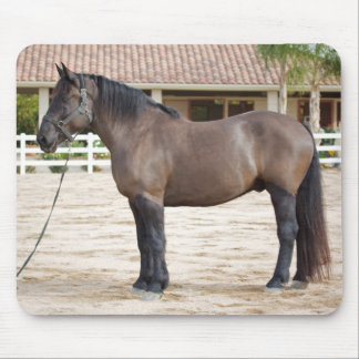 Draught   Horse Mouse Pad