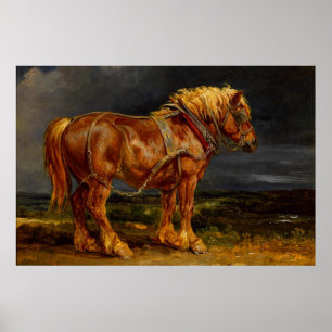 Draught   Horse Poster