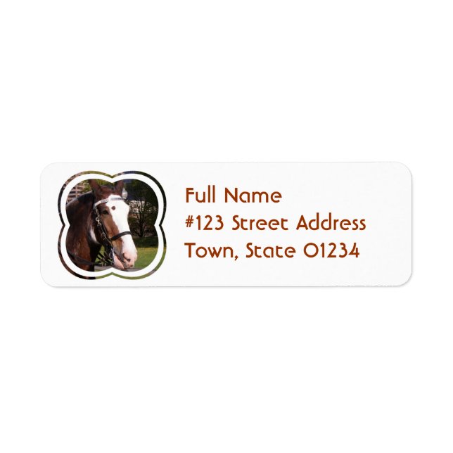 Draught Horse Rescue Mailing Label Return Address Label (Front)