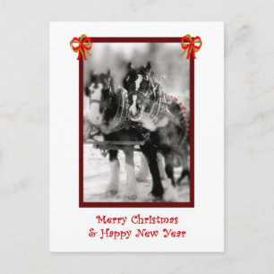 Draught Horse Team, Merry Christmas, HNY Postcard