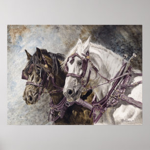 Draught   Horse Team Poster