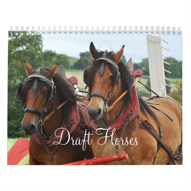 Draught   Horses 2016 Calendar (Cover)