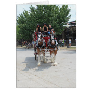 Draught Horses at a State Fair