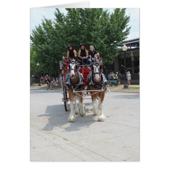 Draught Horses at a State Fair (Front)