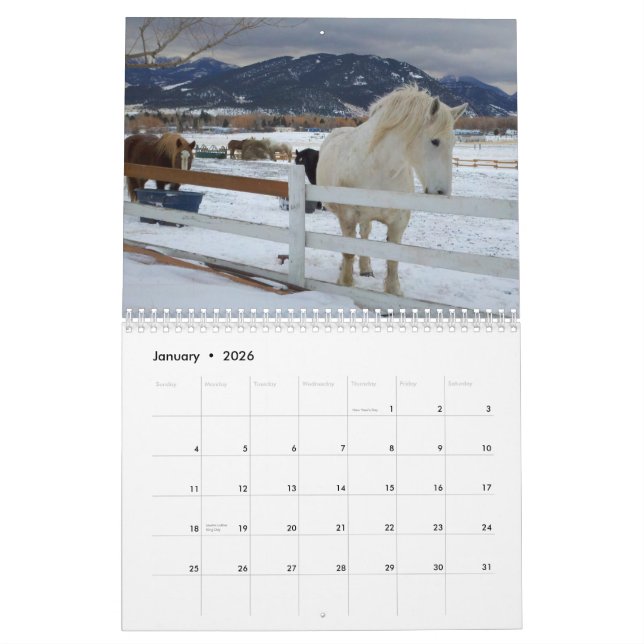 Draught   Horses Calendar #5 (Jan 2026)