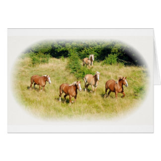 Draught horses in field