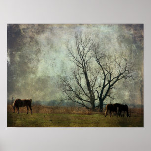 Draught Horses in the Field Poster