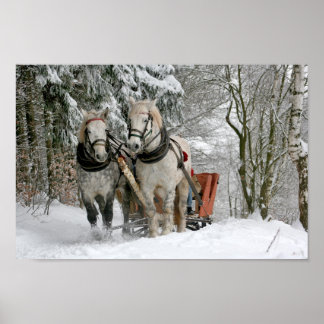 Draught   Horses Pulling Sleigh Poster