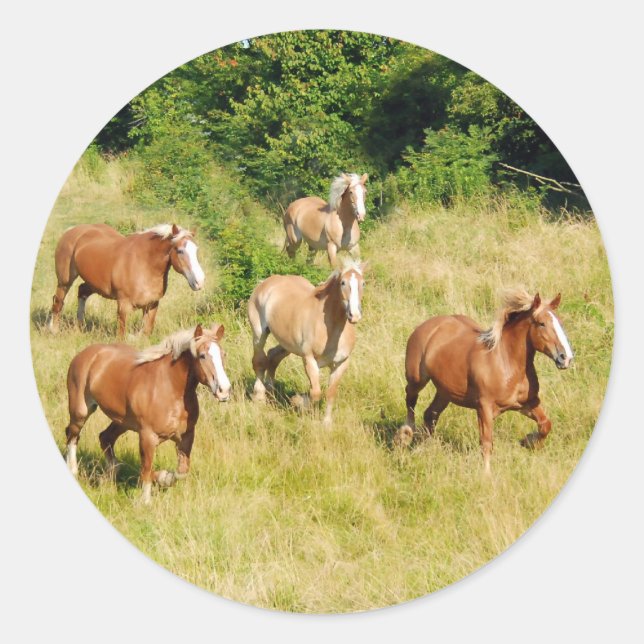 Draught Horses running in field Classic Round Sticker (Front)