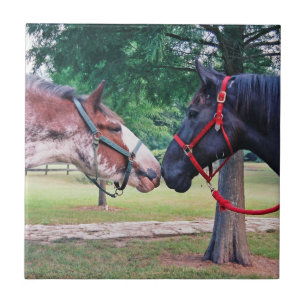 Draught Horses Tile