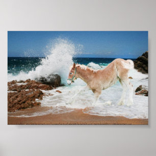 Draught Of The Sea Poster