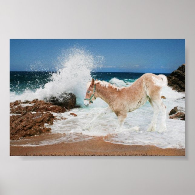 Draught   Of The Sea Poster (Front)