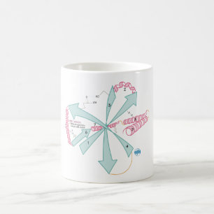 Draw it to Know it Tertiary Structure mug