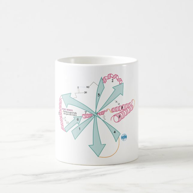 Draw it to Know it Tertiary Structure mug (Center)