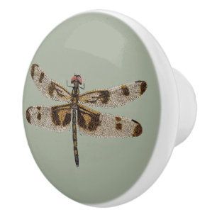 Drawer Pull Dragonfly