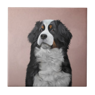 Drawing Bernese Mountain Dog Ceramic Tile