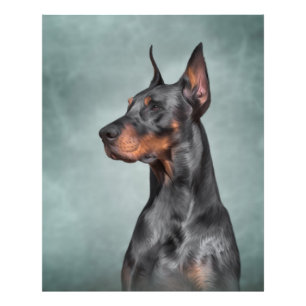 Drawing Doberman dog Photo Print