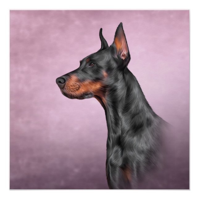 Drawing Doberman dog Poster (Front)