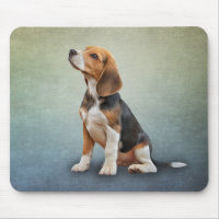 Drawing Dog Beagle 7