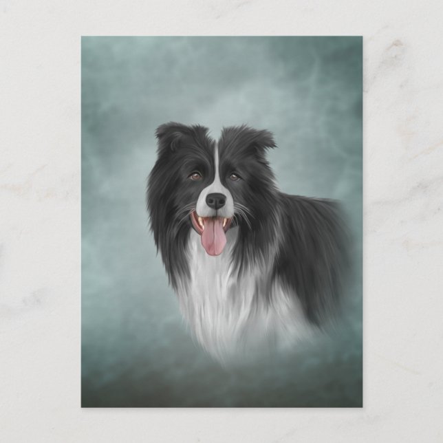Drawing Dog breed Border Collie Postcard (Front)