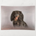 Drawing Dog breed dachshund