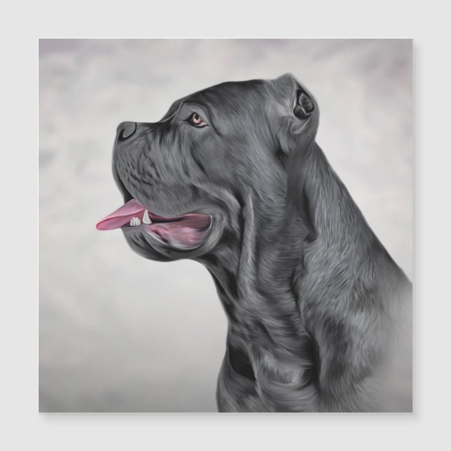 Drawing dog Cane Corso - Italian Mastiff 12 (Front)