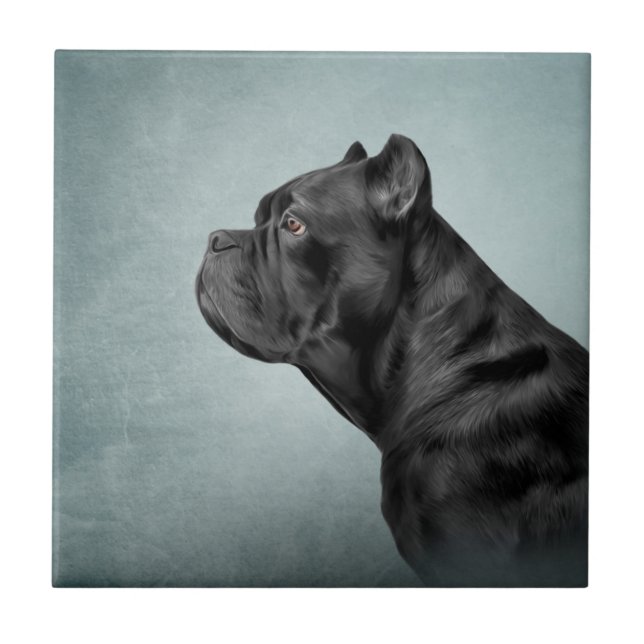 Drawing dog Cane Corso - Italian Mastiff Ceramic Tile (Front)