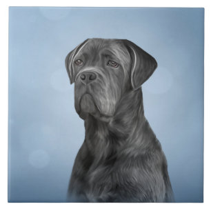 Drawing dog Cane Corso - Italian Mastiff Ceramic Tile
