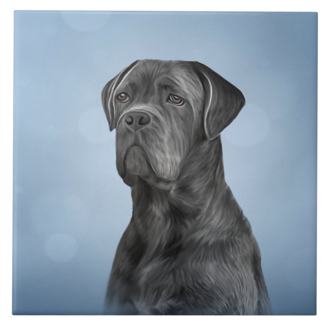 Drawing dog Cane Corso - Italian Mastiff Ceramic Tile (Front)