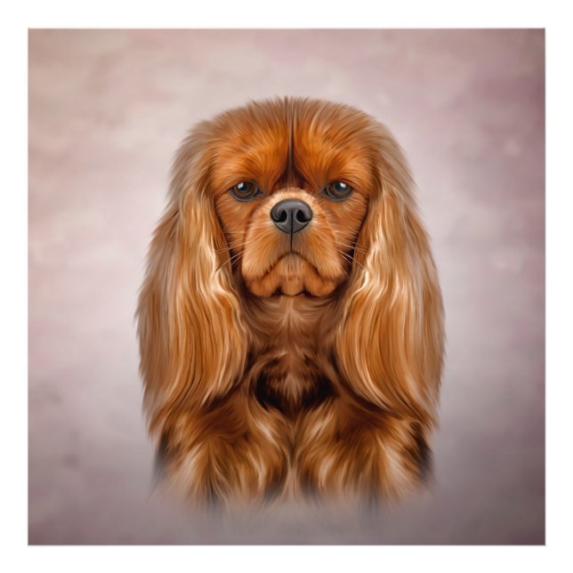 Drawing Dog Cavalier King Charles Spaniel Photo Print (Front)