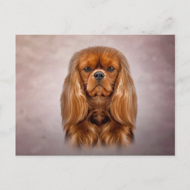 Drawing Dog Cavalier King Charles Spaniel Postcard (Front)